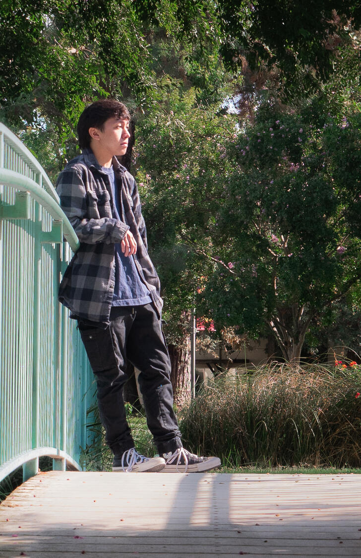 &quot;Cinematic Light&quot; 2025