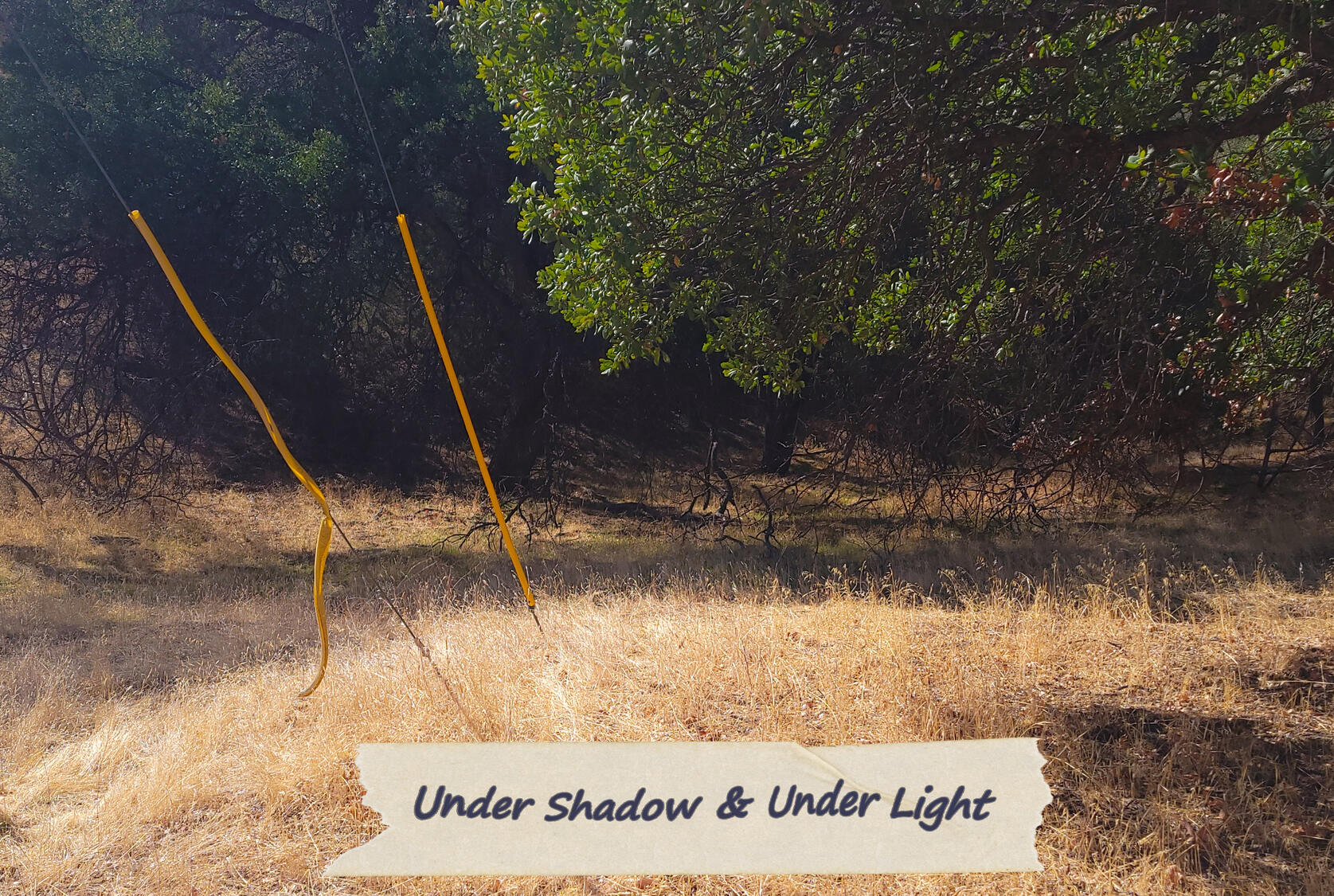 Under Shadow Under Light 2025