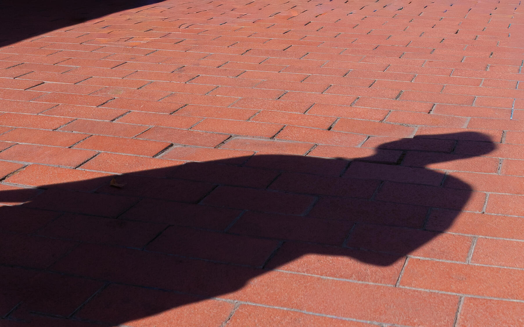 &quot;Who?&quot; 2025